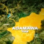 adamawa-1