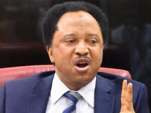 shehu-sani-2